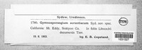 Image of Gymnosporangium aurantiacum